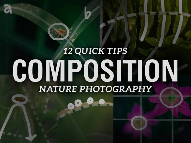 12 Quick Composition Tricks
